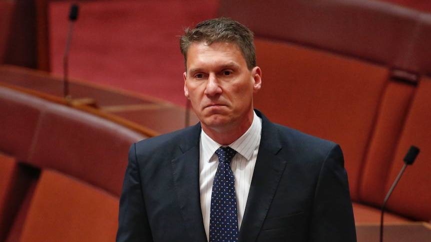 Cory Bernardi addresses the senate chamber