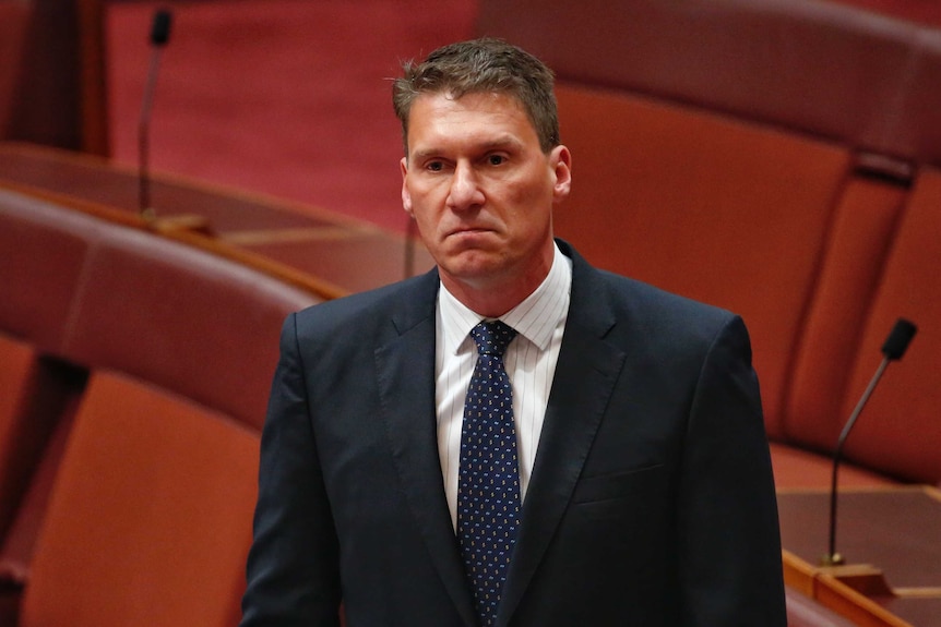 Cory Bernardi addresses the senate chamber