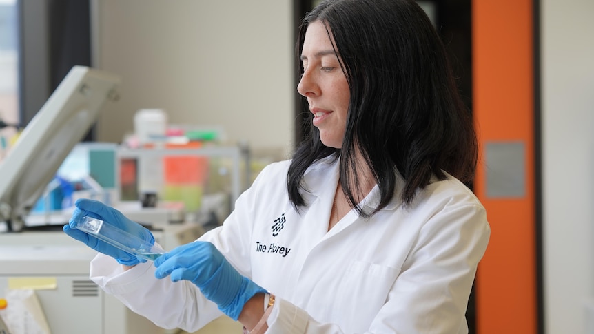 A woman with dark hair in a white lab coat and blue gloves is examining a clear sample tray containing a liquid