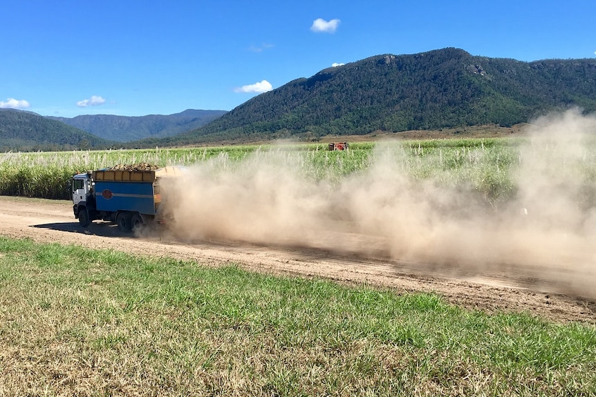 A cane truck drives past a tall cane with dust billowing behind.