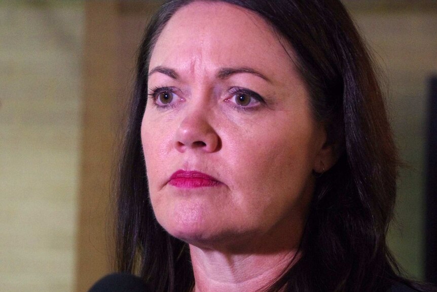 Acting Premier Liza Harvey says there is no division over the proposed sale of Western Power.