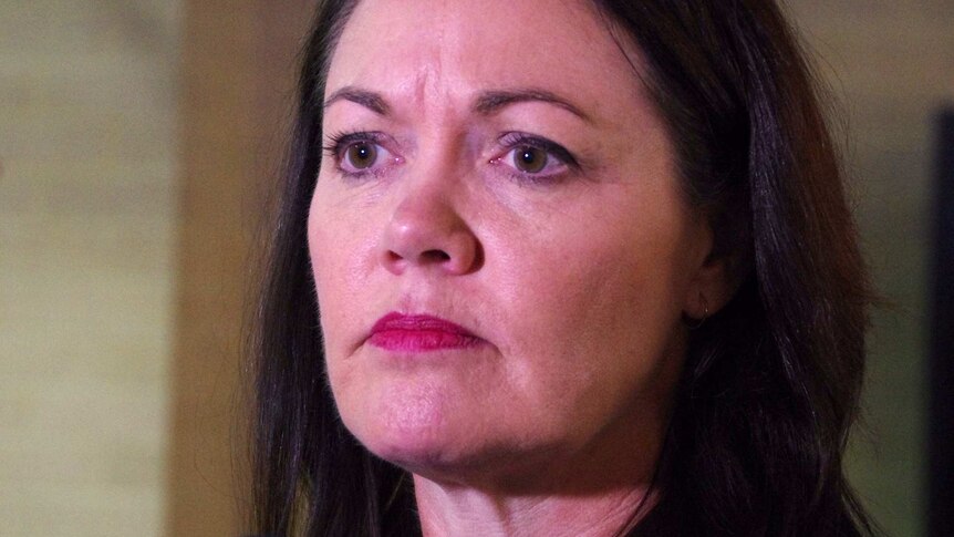 Acting Premier Liza Harvey says there is no division over the proposed sale of Western Power.