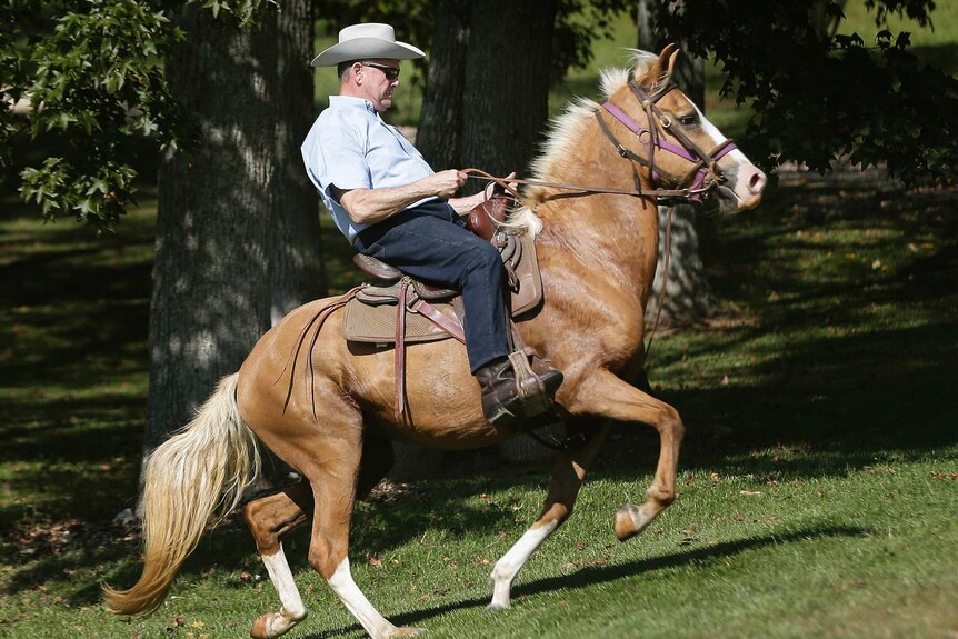 Judge Moore rides a light brown coloured horse.