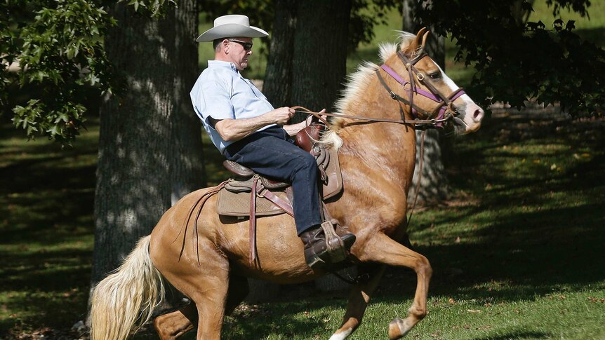 Judge Moore rides a light brown coloured horse.