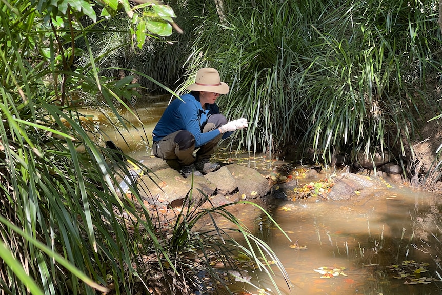 A woman crouched on a rock in the middle of a creek