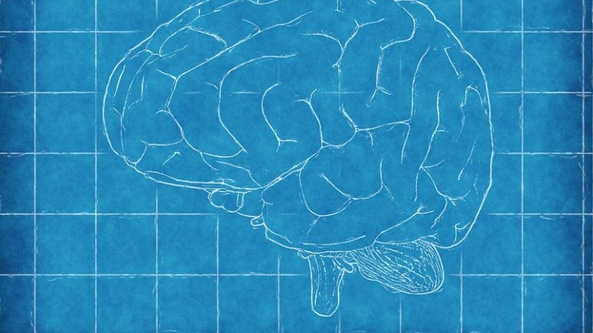 Picture of a drawing of a brain with a blue background and white lines 
