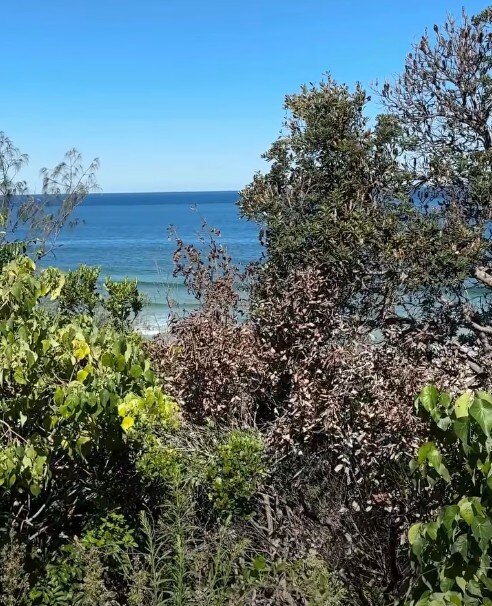 Árbol con hojas doradas con fondo marino.