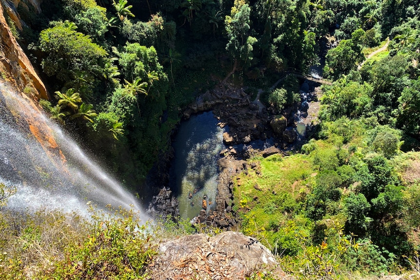 A waterfall with a rainforest below it.