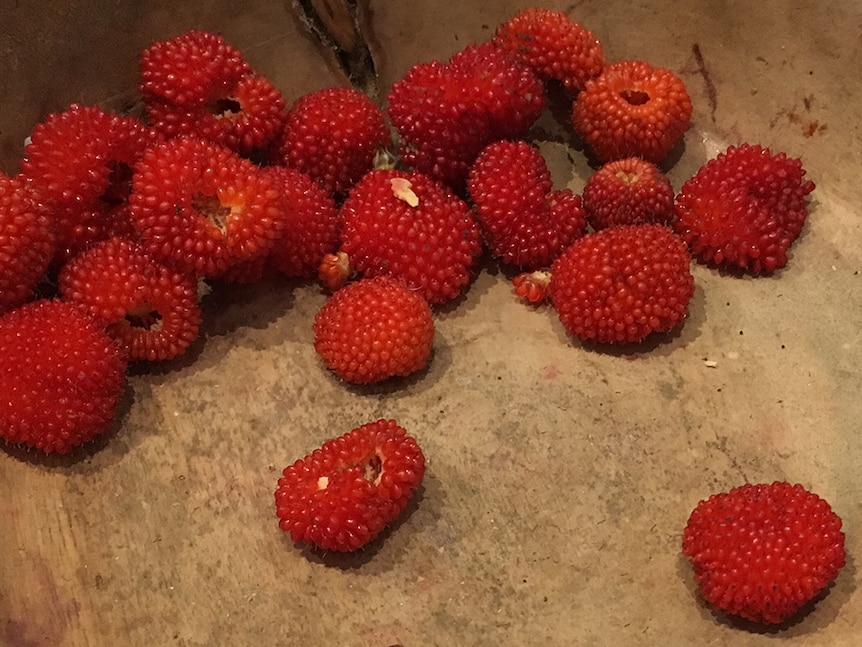 A bowl of wild raspberries.