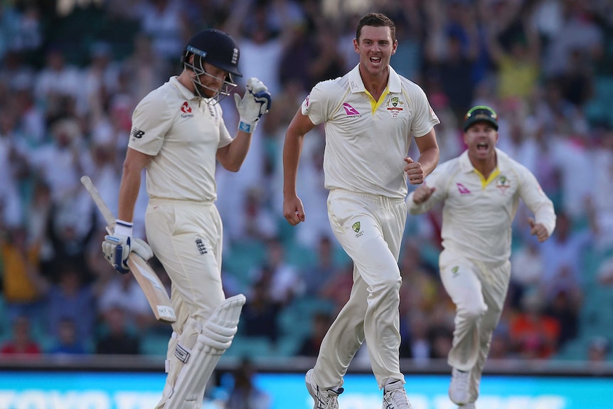 Josh Hazlewood is chipper after taking a wicket