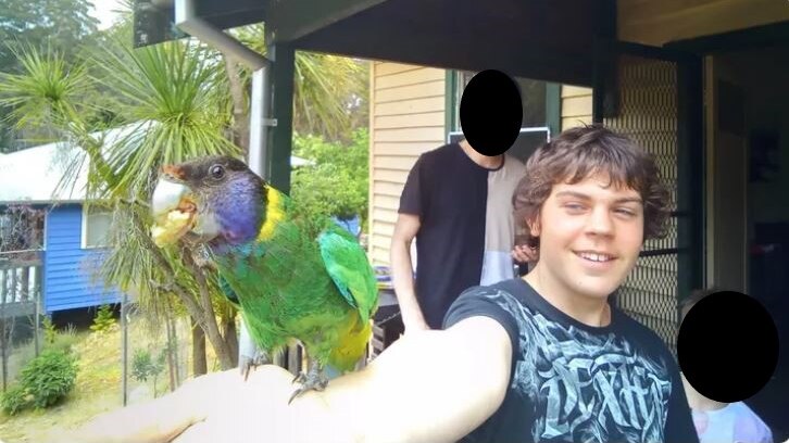 Edited image of a young boy holding a parrot with two other boys in the background.