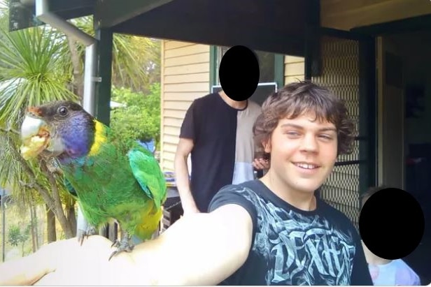 Edited image of a young boy holding a parrot with two other boys in the background.
