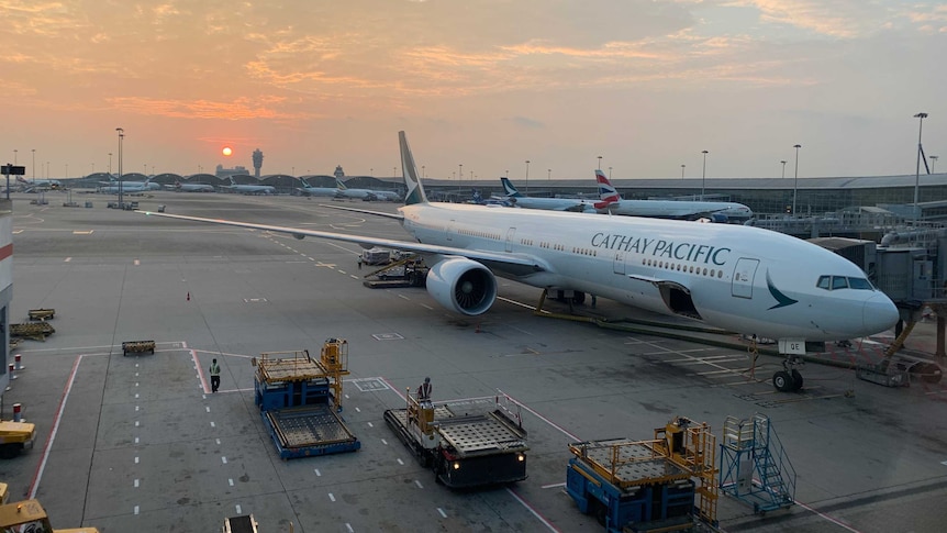 The Cathay Pacific plane is parked at a gate with its luggage hold open, at Hong Kong International Airport.