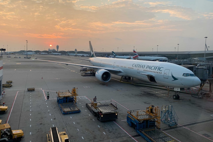 A Cathay Pacific plane is parked at a gate with its luggage hold open, at Hong Kong International Airport.