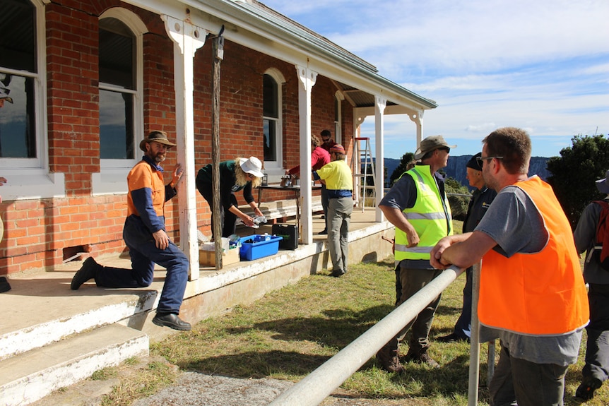 Tasman Island working bee