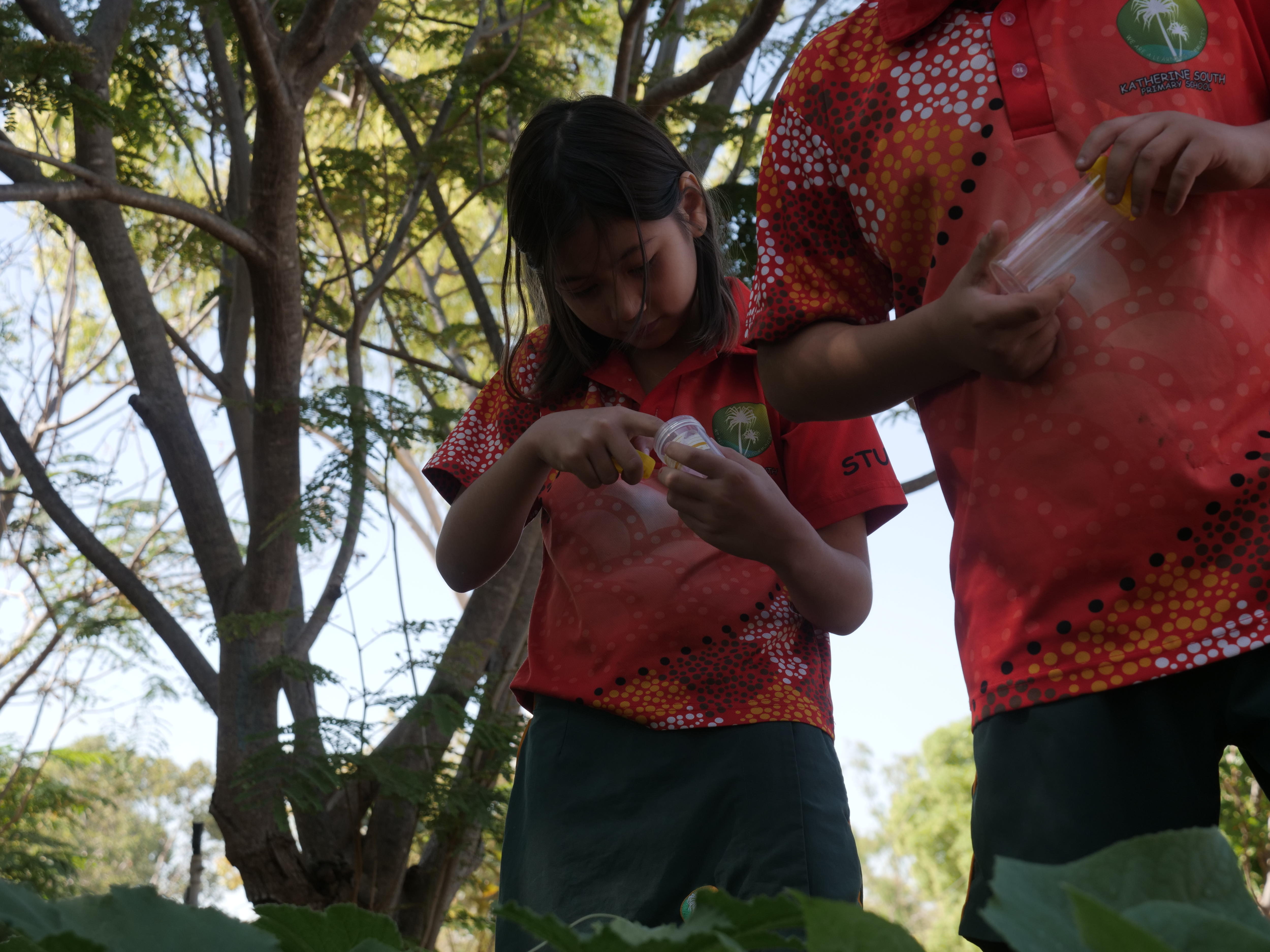 Schoolkids in a bushy area hold specimen jars.