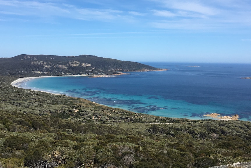 looking down across scrub to a wide beach