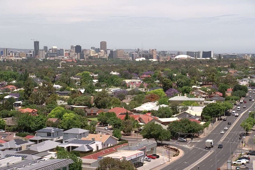 The Adelaide skyline