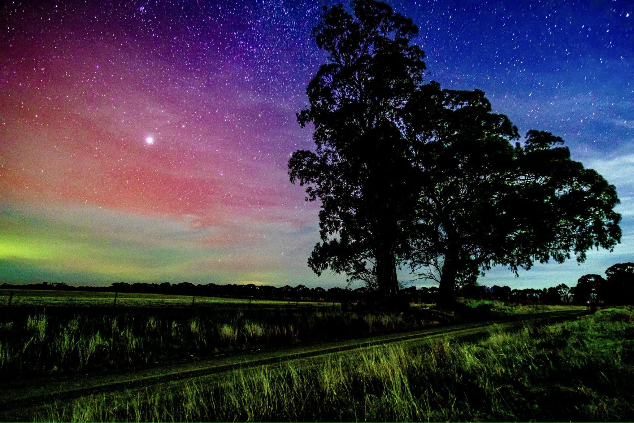 A tree silhouette is visible in front of a rainbow sky.