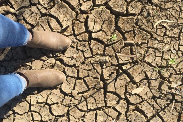 Dry cracked earth caused by the drought