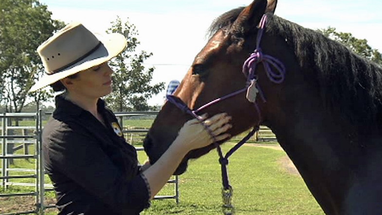 Horse breeder Elizabeth Jennings