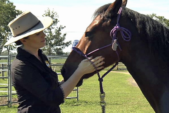 Horse breeder Elizabeth Jennings