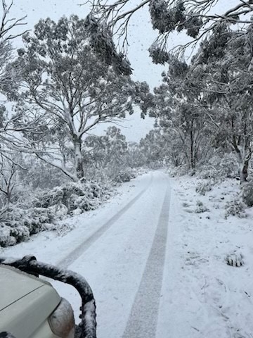 snow on a road