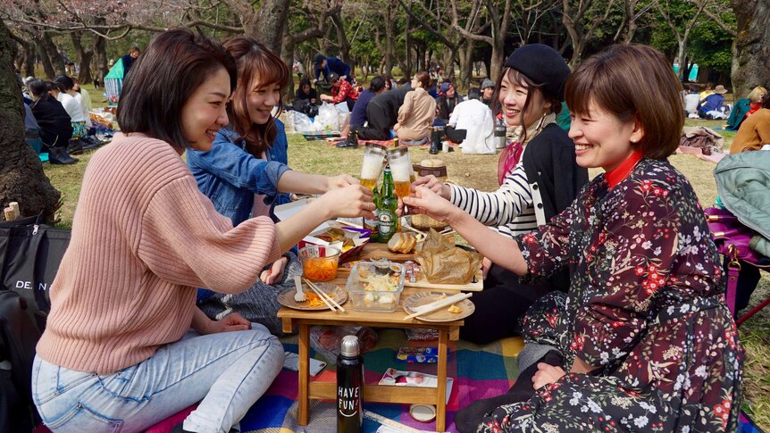 Four women toast their champagnes at a picnic underneath the cherry blossom trees.
