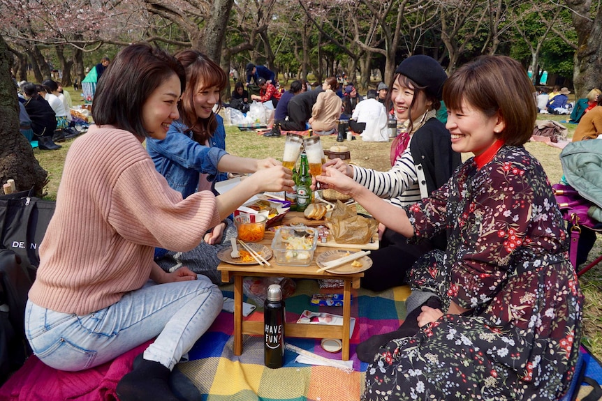 Four women toast their champagnes at a picnic underneath the cherry blossom trees.