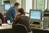 Public servants answer phones and work on computers in an office