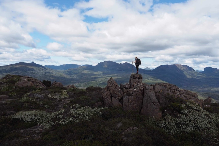 A picture of a walker holding a stick looking out to a range of mountains.