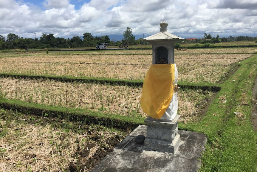 Monument and field in Bali