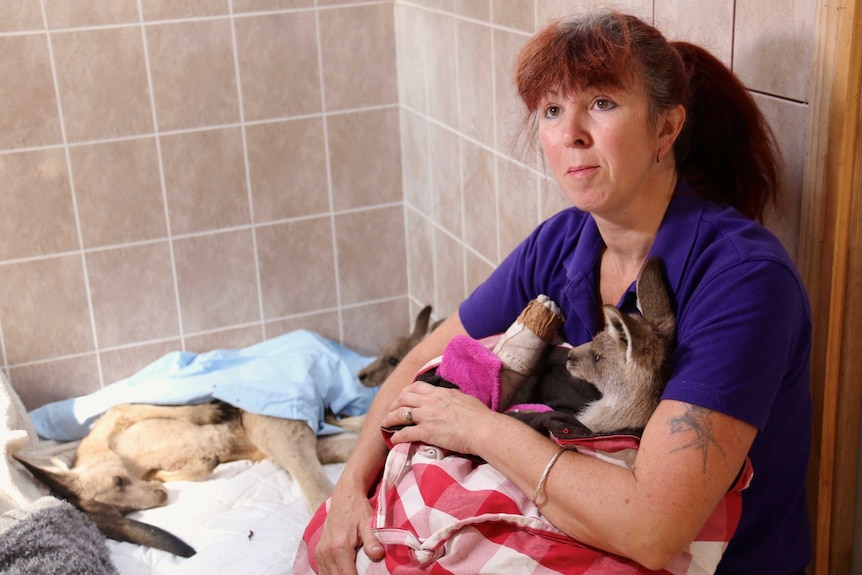 A woman holds a joey inside a fabric bag.