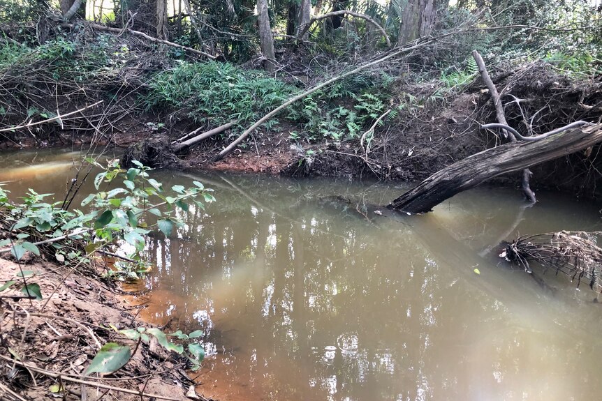 A creek with branches in it.