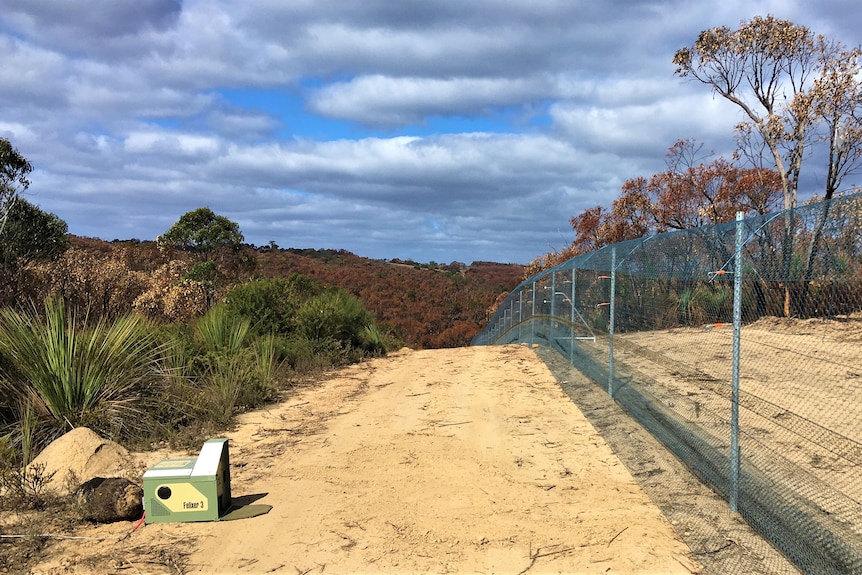An angular, small, pale green box sits on a sandy ground next to a large wire fence. You can see brown bushland in the distance 