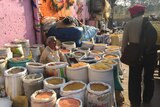 Outdoor pulse market in India