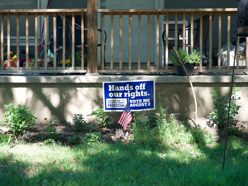 A blue lawn sign reads "hands off our rights" next to an American flag.