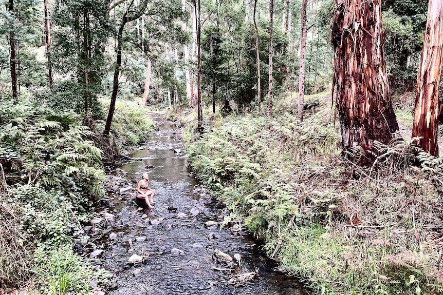 Women sitting in the middlw of a creek in a forest  