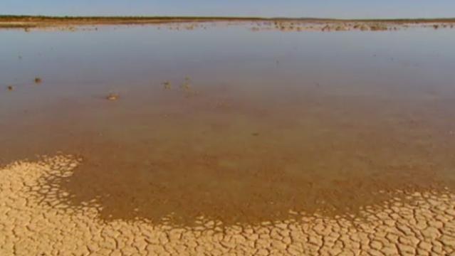 Receding water in an outback lake, cracked mud at the edges