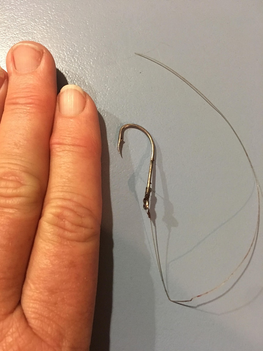 Fishing hook next to a person's hand