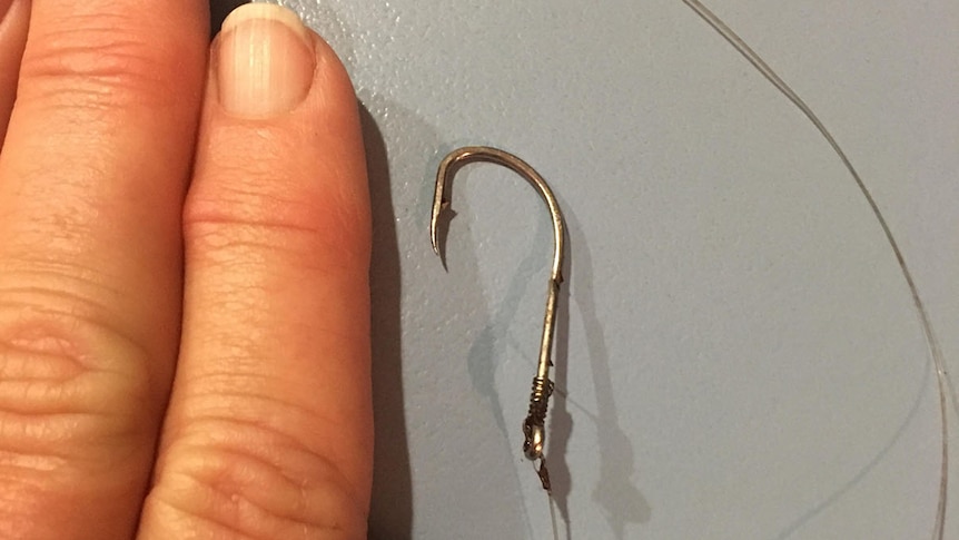 Fishing hook next to a person's hand