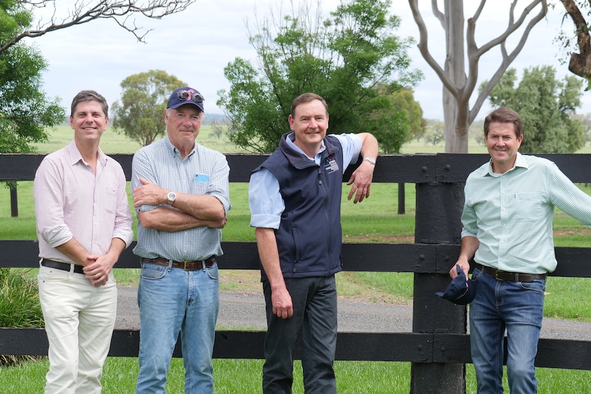 Four men stand next to a wooden fence at a horse breeding stud.