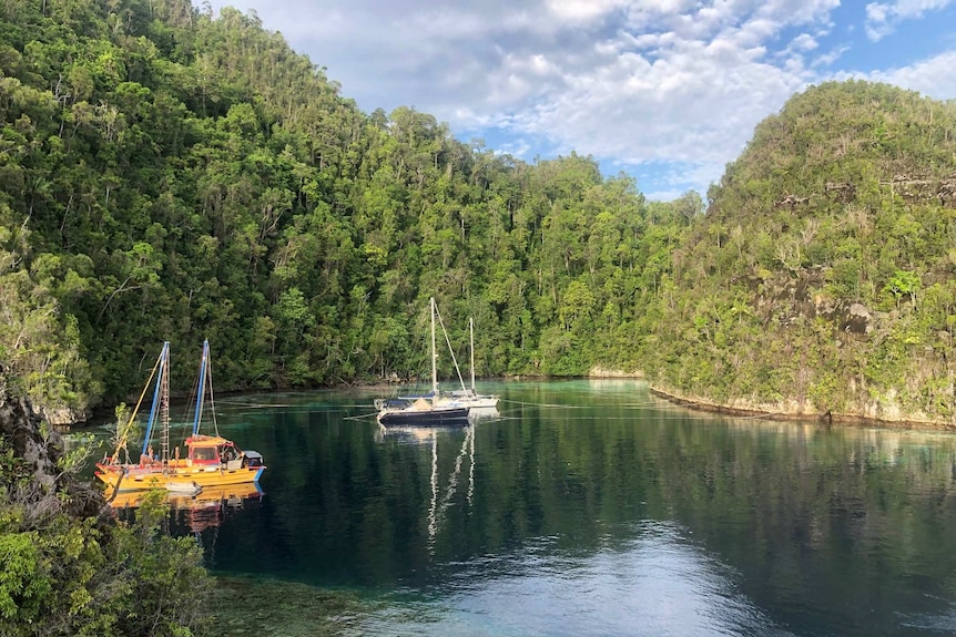 Peaceful calm cove surrounded by trees with three yachts anchored. Blue sky. One yacht is bright yellow.