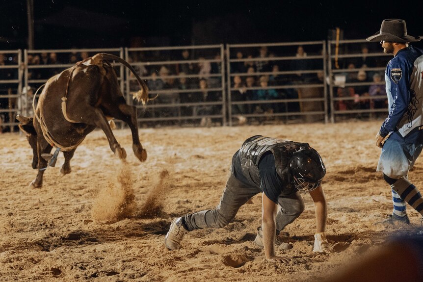 A bull rider recovers after falling off his mount.  
