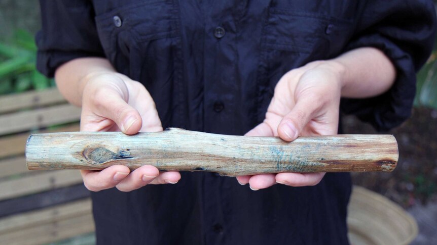 A woman holds a short eucalyptus pole in her two hands in front of her black shirt.