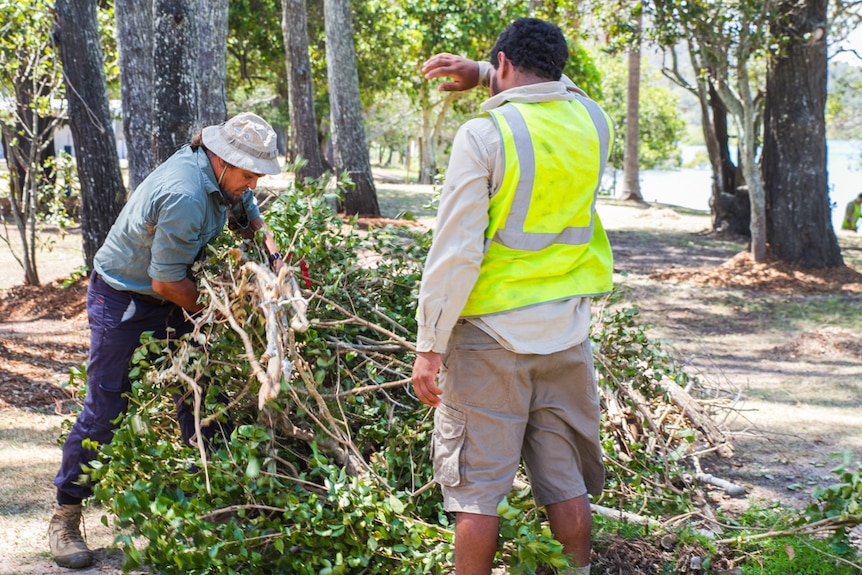 Weeds and non-native vegetation has been cleared to restore the landscape on Stradbroke Island by the Green Army.