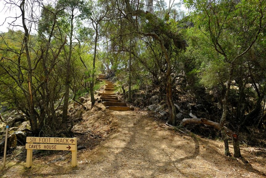 Une piste en brousse avec un escalier visible