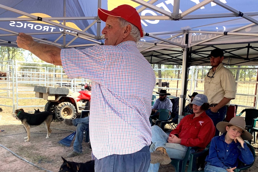 instructor directing dogs