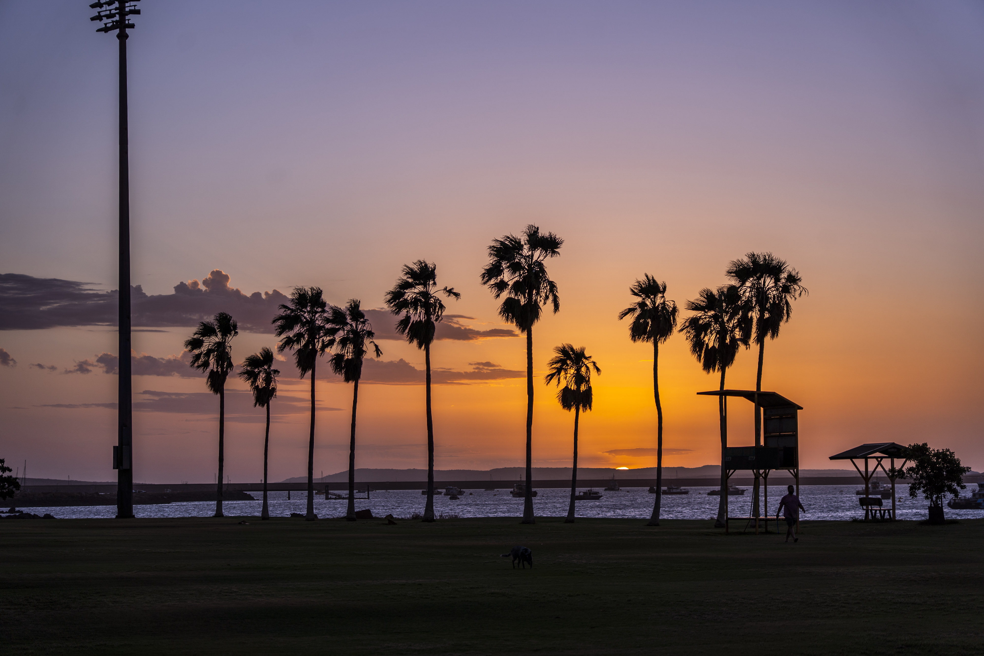 pôr do sol laranja sobre palmeiras em um oval de futebol
