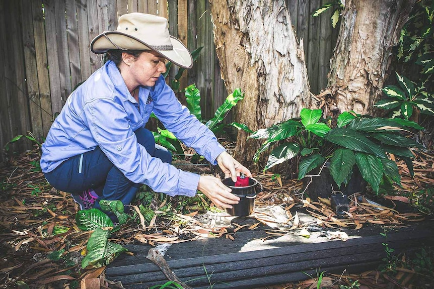 A woman releasing mosquitos from a small container in a backyard